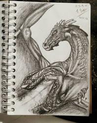 Dragon [old draft] 