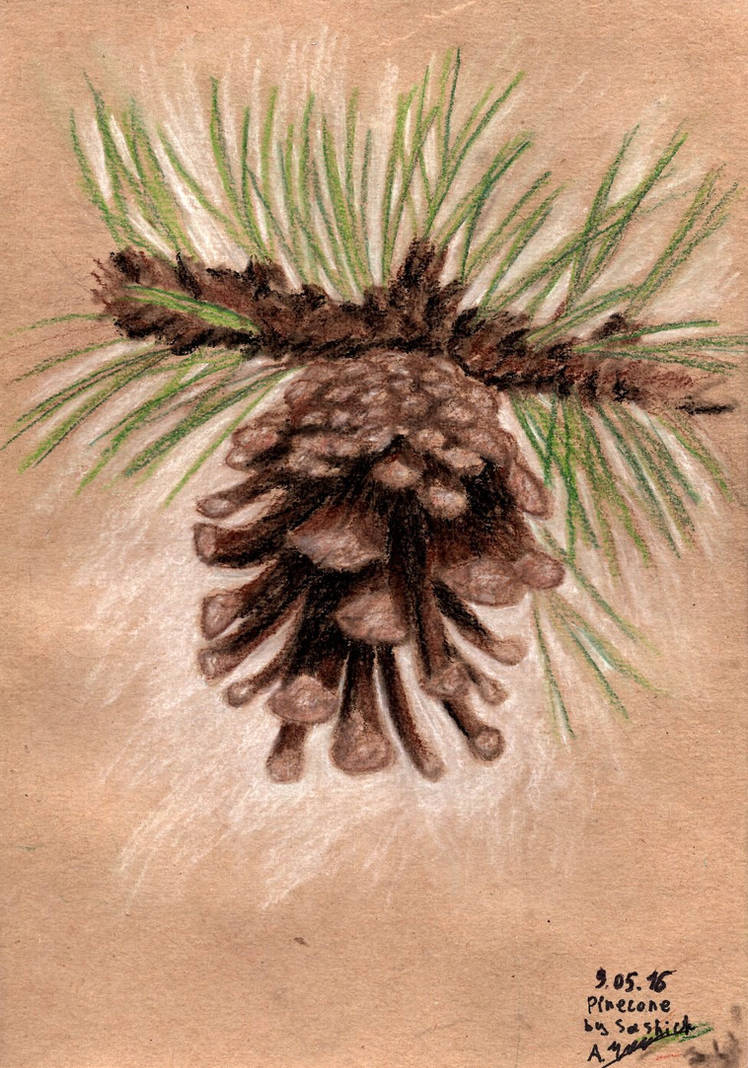 Pinecone