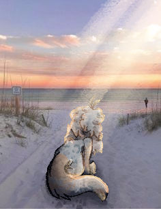Ivry Crow On the beach by IvoryCroww on DeviantArt