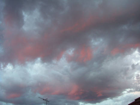 Pink Clouds