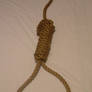 Enough Rope 1