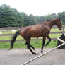 Interesting
