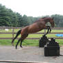 Can you say overjump