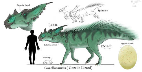 Gazellasaurus remodel