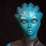 Asari Close-Up