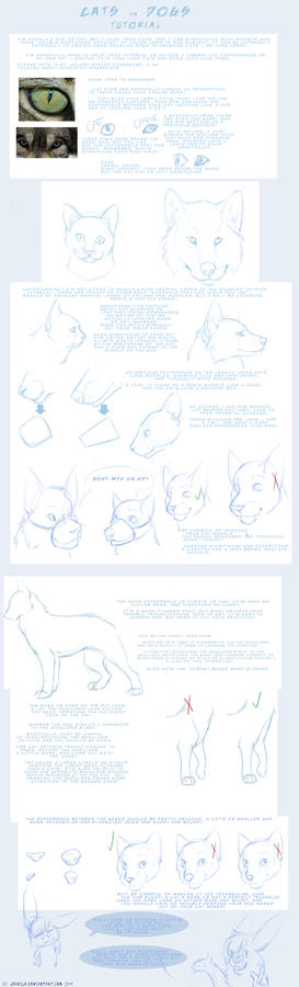 Cats vs Dogs Tutorial Pt 1