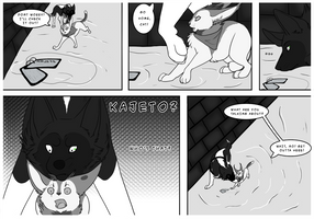 Marked: Ch4 Pg 11