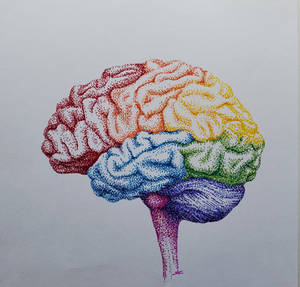 Brainbow