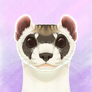 [iPad] Black-Footed Ferret Portrait