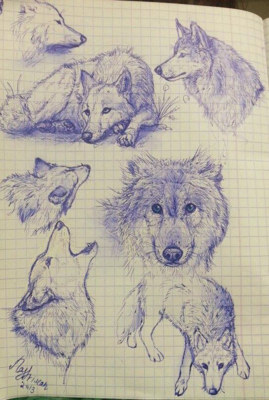 Wuffs Sketchdump