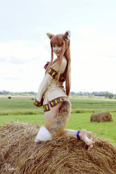 Spice and Wolf