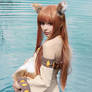 Spice and Wolf