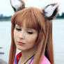 Spice and Wolf