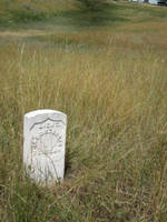 Little Bighorn 163