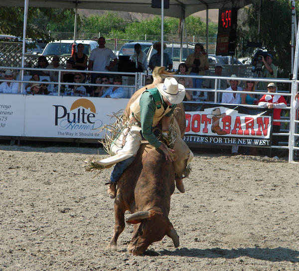 Rodeo Ride Deviantart Rodeo 27 by SkyeDragon-Designs on DeviantArt