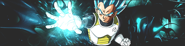 Vegeta Ui Sign Deviantart Vegeta Sign 2 by pikachupz on DeviantArt