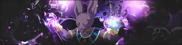 Beerus Sign