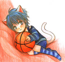 Kitten Kuroko