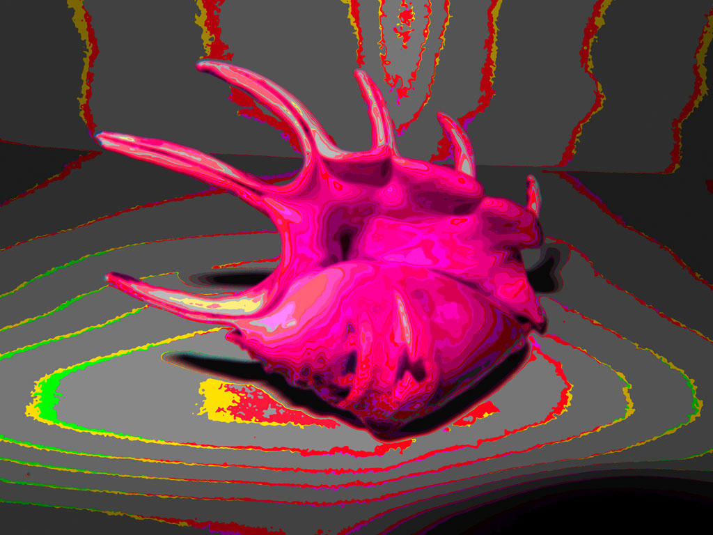 Shells SAM 0224ASD by Pawel777 on DeviantArt