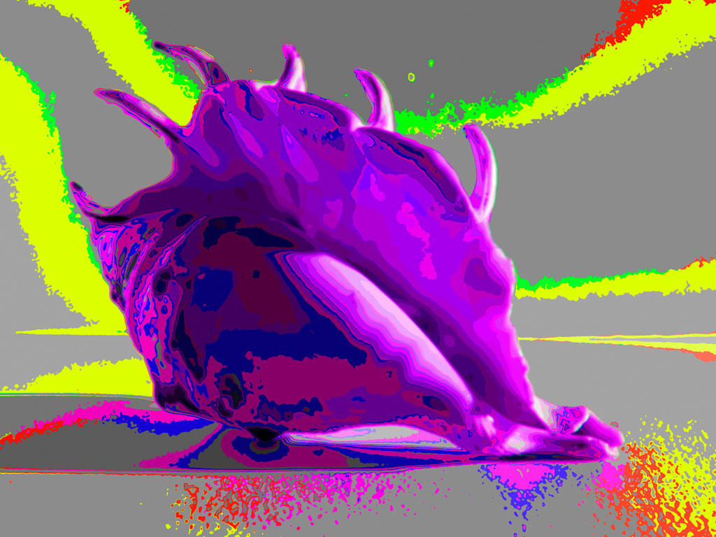 Shells SAM 0240ASDSDF by Pawel777 on DeviantArt