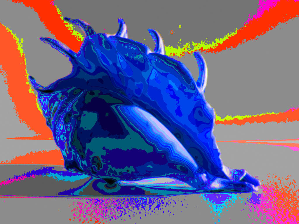 Shells SAM 0240ASDSDFH by Pawel777 on DeviantArt