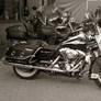 Harley Davidson  Bw591