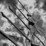 Mast of a sailing ship DSCN0376A14
