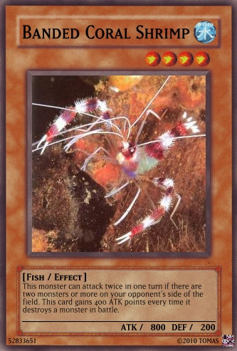 yugioh army deck Yu-Gi-Oh! - Reinforcement of The (YS12-EN027) - Starter Deck: XYZ Symphony - 1st Edition Add 1 Level 4 or lower Warrior monster from your Deck to your hand. VAMPIRE Deck with New Zombie