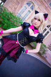 Black Cat DVA