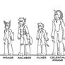 Height Comparison