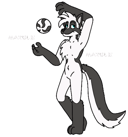 Choose your Player - Marble