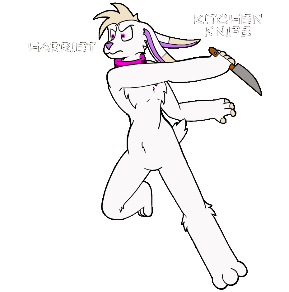 Choose Your Player - Harriet