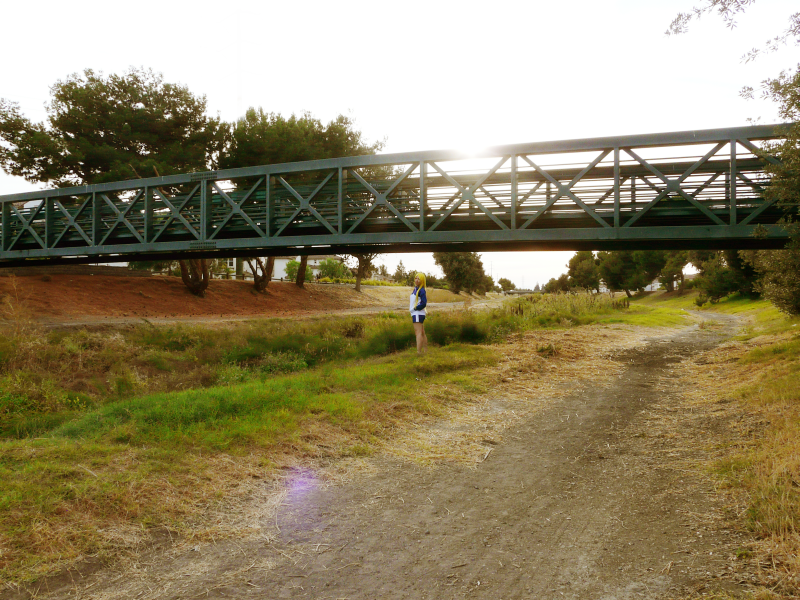 Under the Bridge