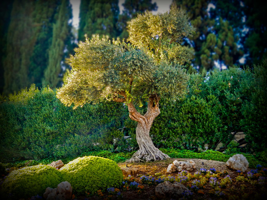 Trees Inkylicious A Lovely Tree by sKyLinKd on DeviantArt