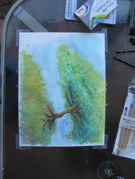 Speedy Tree Watercolor: Working Outside