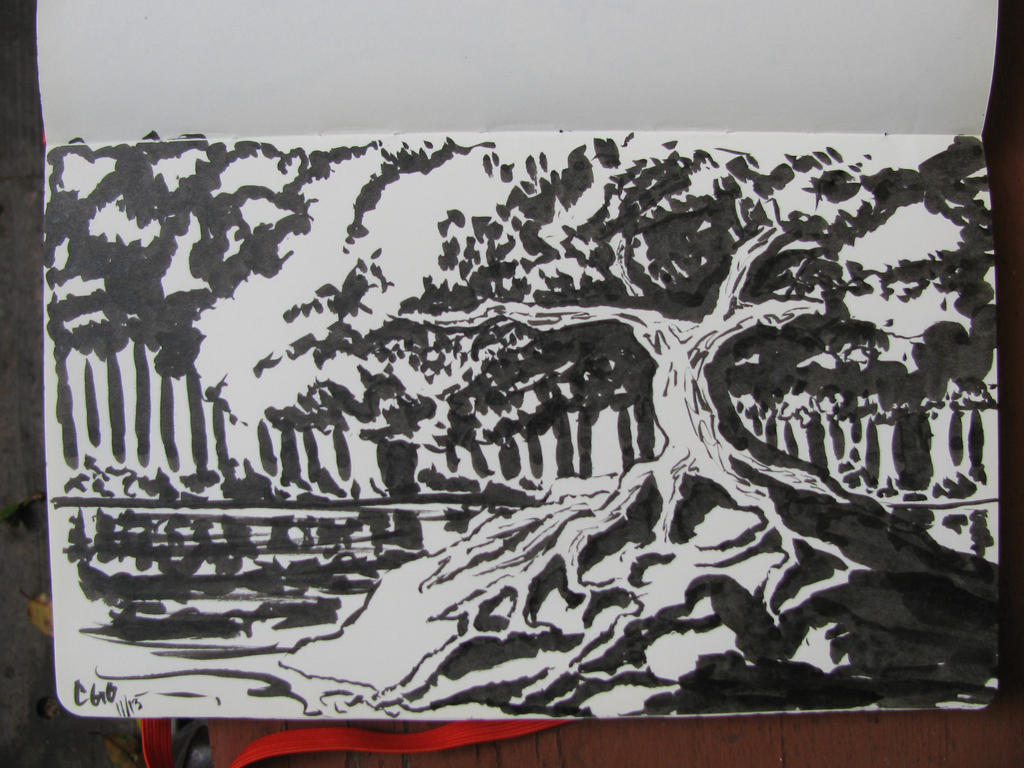 Pen Brush Sketch: Tree and Pond