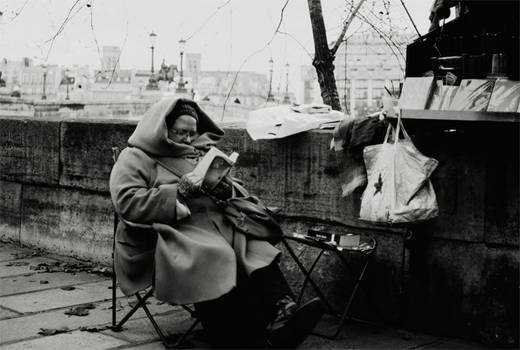 grands froids sur les quais de saine