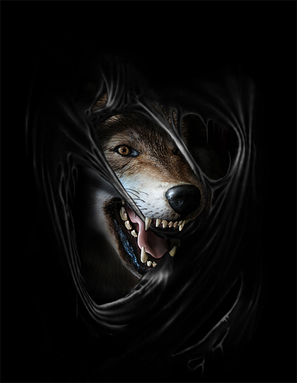 Wolf By Sebasx On DeviantArt