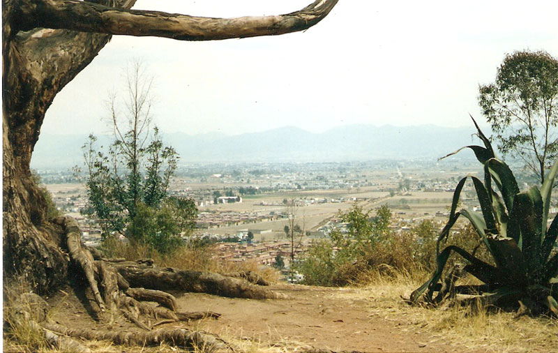 Metepec - Calvario