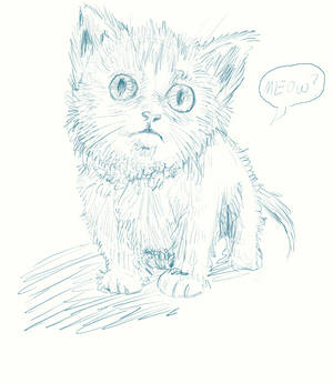 thoughtART Kitty Sketch