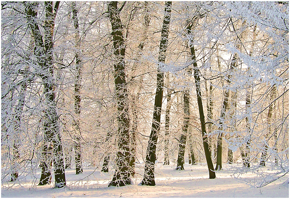 White afternoon