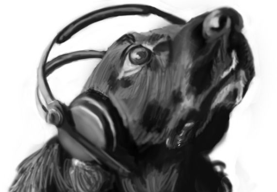 Dog with headphones