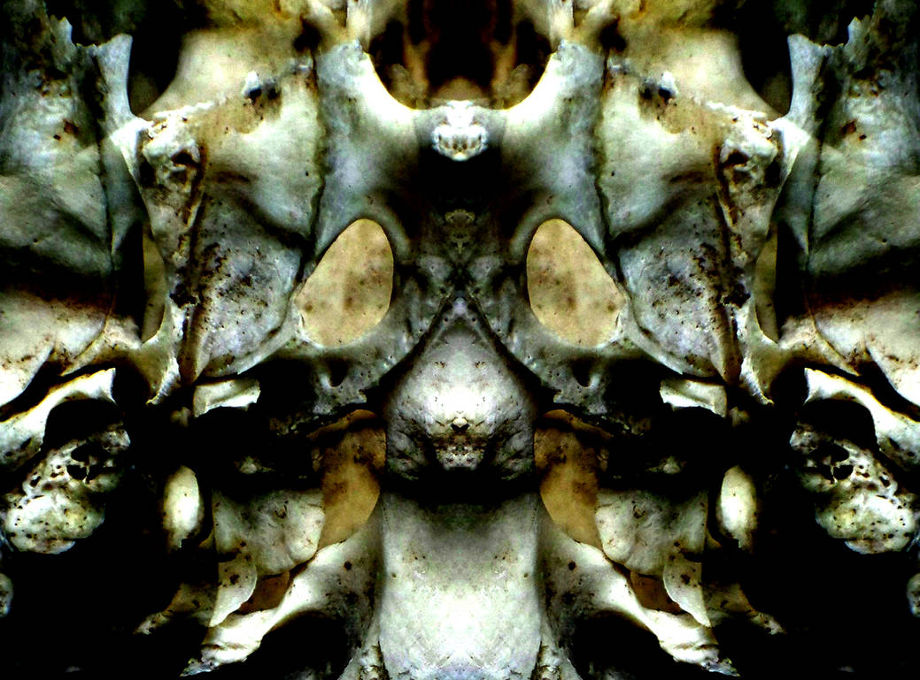 Alien Bone Structure by PariahRising on DeviantArt