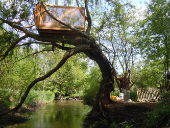 Tree Fort I Built