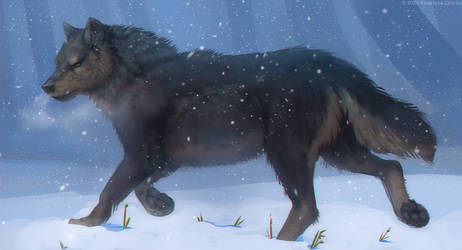 Fauna of Nysera - Wolf