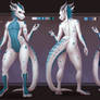 Ziradakota reference sheet/design