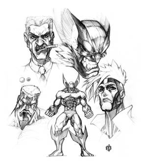 Marvel Characters Wolverine