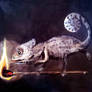 Cameleon withFire