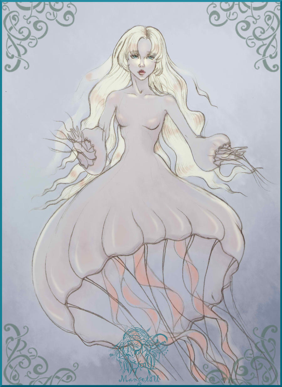 Queen Jellyfish
