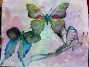 Commission Butterflies